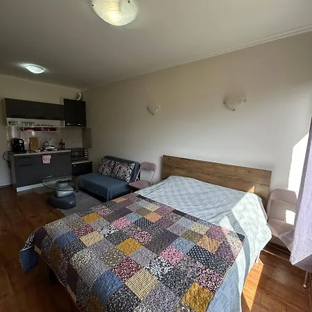 Apartment Cozy With Kitchen In *
