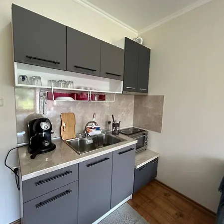 Cozy With Kitchen In Apartment